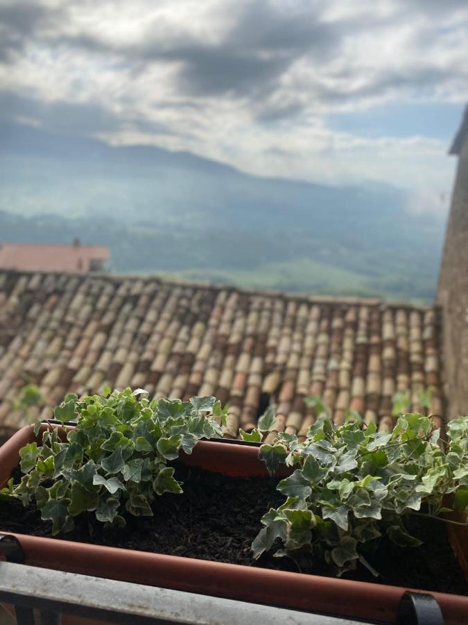 Locanda Le Ginestre Cantalupo in Sabina Kültér fotó